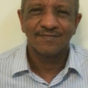 Prof. Adil Mohamed Ahmed Salman