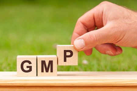 Good Manufacturing Practices (GMP)